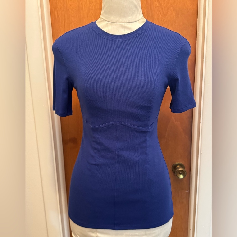 Lululemon Blue Stretch Short Sleeve Top, 8